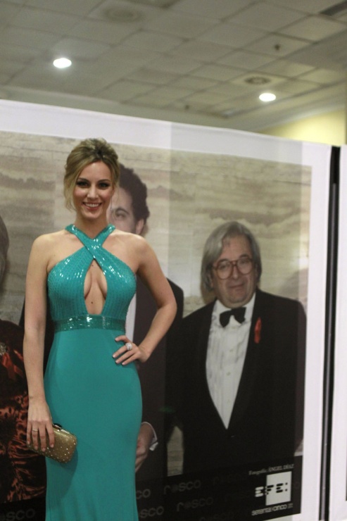 a cantante Edurne posa ante una de las fotografías de la exposición de la Agencia Efe en los pasillos del hotel Marriott Auditorium de Madrid, con motivo de la gala del 30 aniversario de los premios Goya. EFE/Víctor Lerena